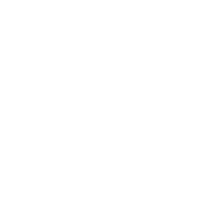 Wewise label blanc de rvb