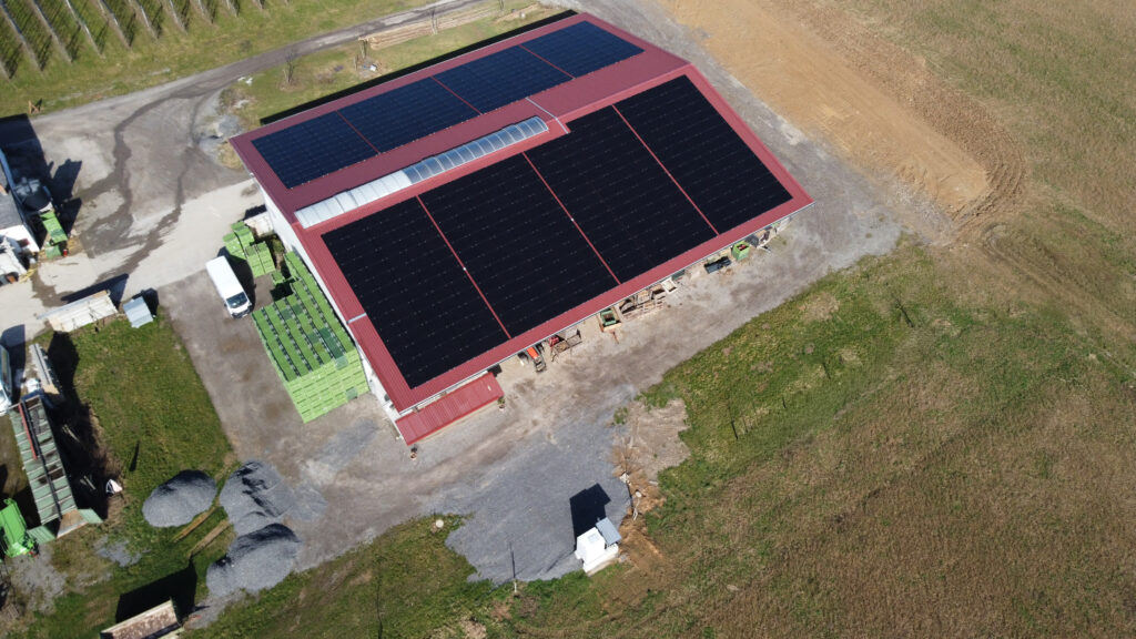 DCIM103MEDIADJI 0938.JPG